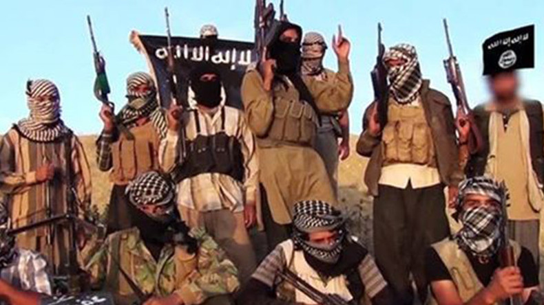 L'armée égyptienne annonce avoir éliminé le chef de Daesh dans le Sinaï