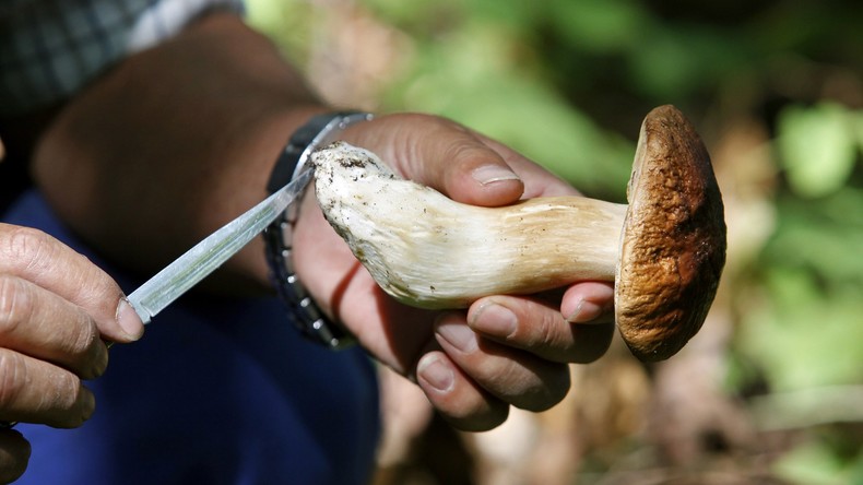 Luxe «à la russe» : des touristes russes ont fait mariner des champignons dans un palace suisse