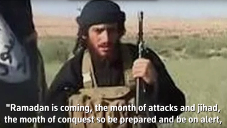 Syrie : Al-Adnani, porte-parole officiel de Daesh et «ministre des attentats», tué à Alep