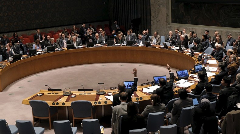 Le conseil de sécurité de l'ONU fait le point de la situation en Syrie