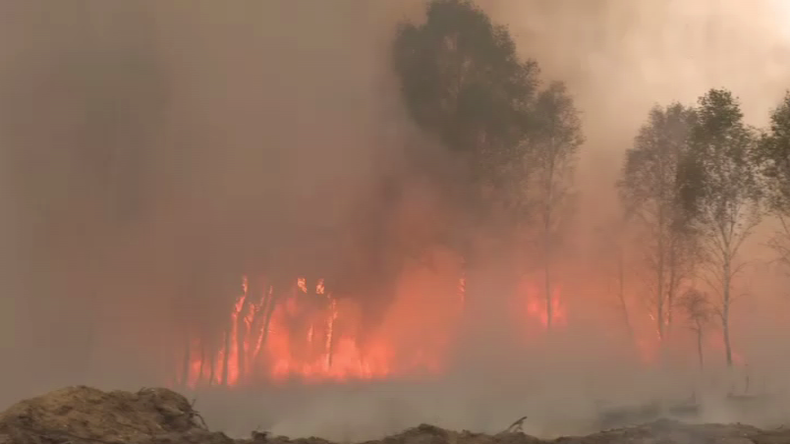 Une bombe au phosphore ravage une ancienne zone militaire en Allemagne (VIDEO)