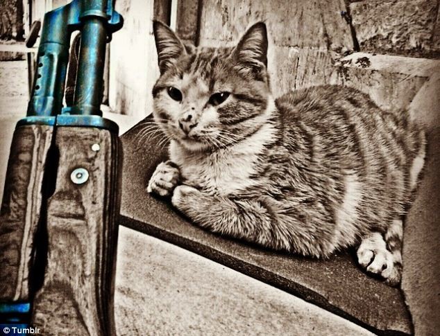 Fini les photos de chatons ? Le Don Juan de Daesh aurait été tué en Syrie (PHOTOS)
