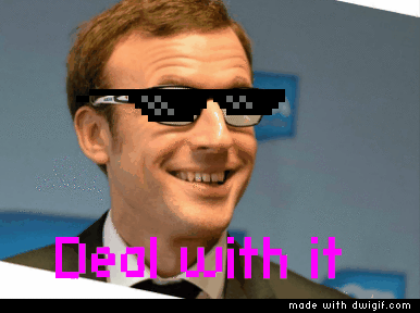 Macron 2017 : combien de divisions ? (IMAGES)