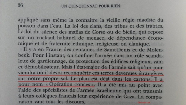 Eric Zemmour : «L'armée française va reconquérir les banlieues comme Israël l'a fait à Gaza»