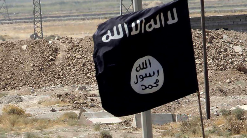En Suède, agiter un drapeau de l'Etat islamique n'est pas une «incitation à la haine»