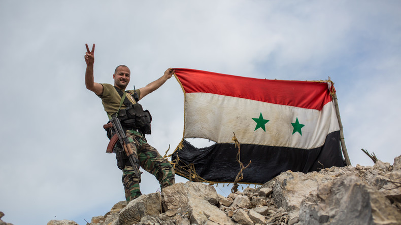 Le président égyptien apporte son soutien à l'armée syrienne