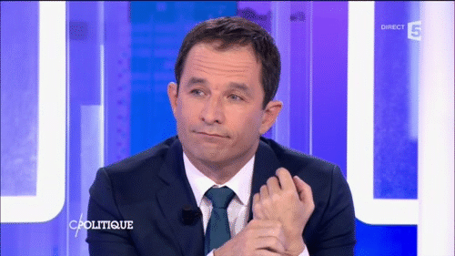 Top départ de la primaire à gauche : les candidats retenus par la Haute autorité