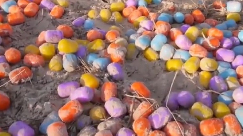 Marée miraculeuse : des milliers d'œufs Kinder Surprise jonchent une plage en Allemagne