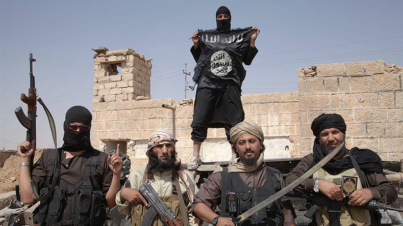 Le territoire de Daesh a fondu de près d'un quart en 2016