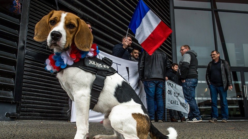 «Chez nous» : à Hénin-Beaumont, des militants frontistes protestent contre le film anti-FN
