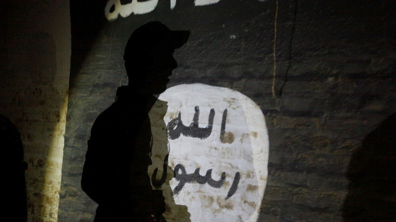 En Syrie et en Irak, des centaines de djihadistes suédois financés par des prestations sociales