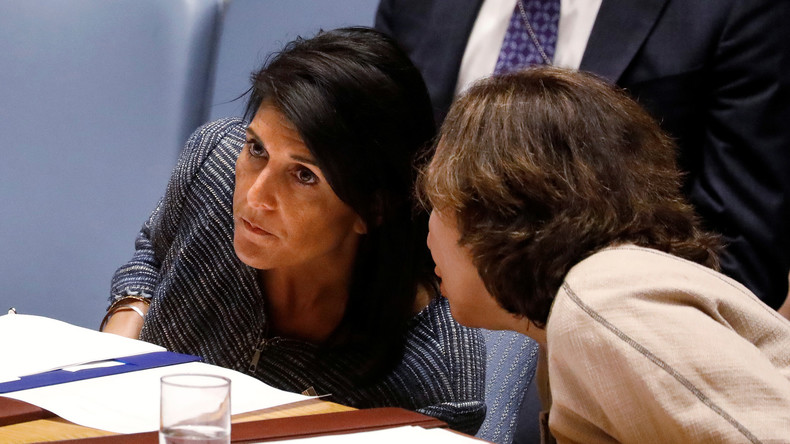 Le Conseil de sécurité de l’ONU se réunit suite aux frappes américaines en Syrie