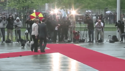 François Hollande quitte la présidence, mais ses bourdes resteront dans les mémoires (IMAGES)