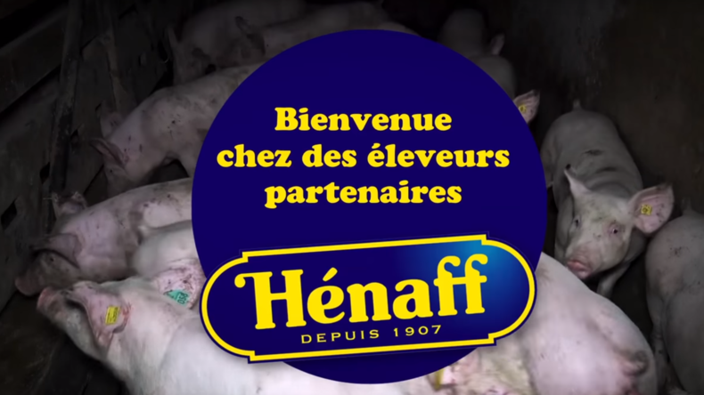 L'association L214 s'en prend au célèbre pâté Henaff dans une nouvelle vidéo (IMAGES CHOC)