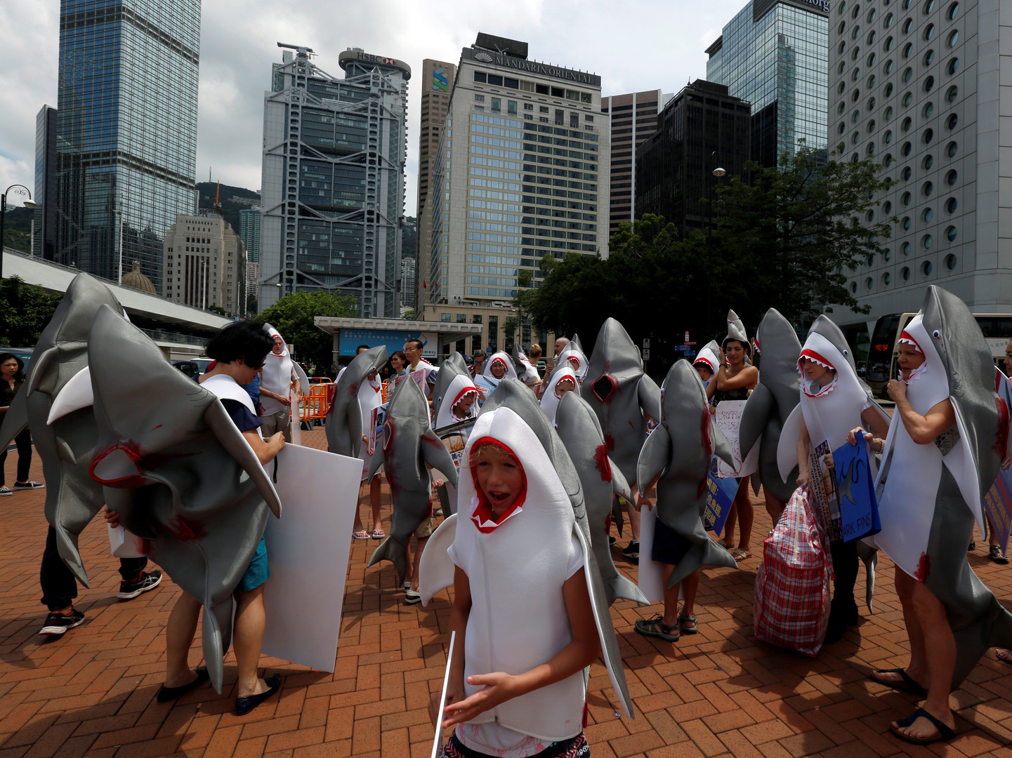 Des manifestants se déguisent en requin contre la consommation d'ailerons à Hong Kong (IMAGES)