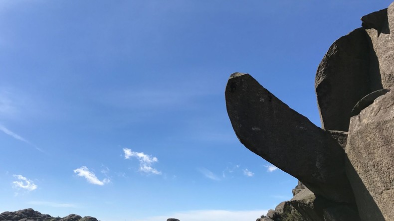 Norvège : grâce à une collecte en ligne, le «pénis du troll» a retrouvé toute sa vigueur