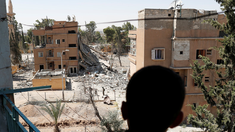 Dans les rues dévastées de Raqqa, des chiens mangent de la chair humaine