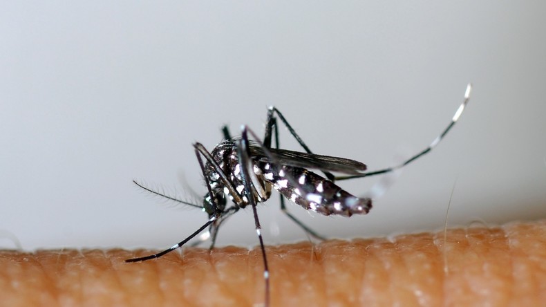Un cas confirmé de chikungunya contracté en France métropolitaine