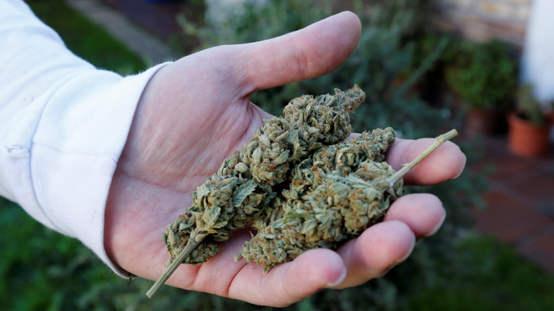 Les Français, plus grands amateurs de cannabis d'Europe