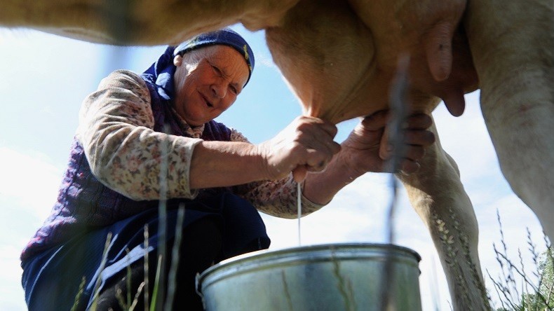 Pourquoi la société Danone s'apprête-t-elle à déporter 5 000 vaches en Sibérie ?