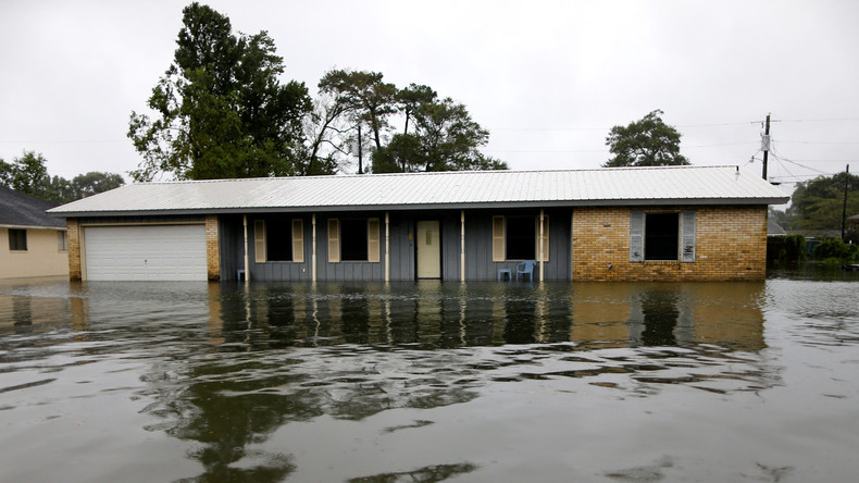 Au Texas, après l'ouragan, des colonies flottantes de fourmis de feu envahissent les eaux (IMAGES)