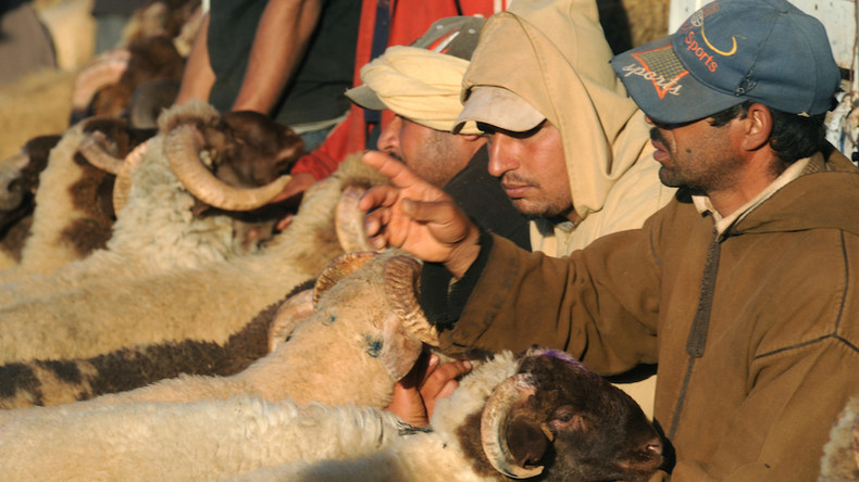 Maroc : après l'Aïd, des consommateurs s'inquiètent d'une viande de mouton qui devient verte