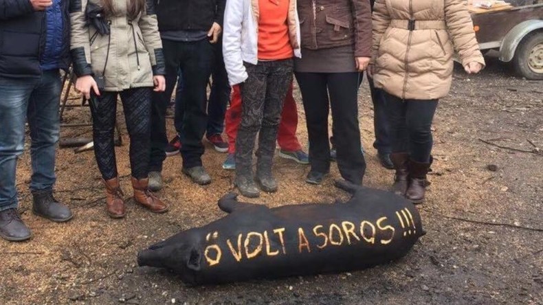 Porc abattu portant l'inscription «Soros»: la photo d'un élu hongrois du parti d'Orban fait scandale