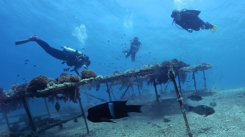 Plongeur à l'île Maurice, un faux chômeur aurait touché plus de 130 000 euros d'allocations