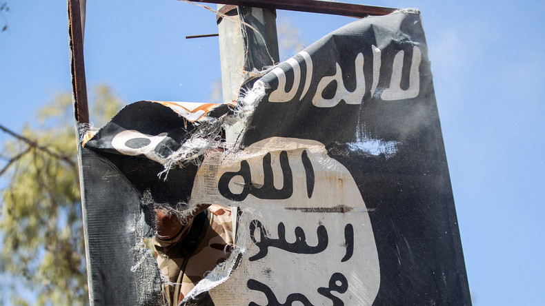 323 personnes sont rentrées en France depuis les terres du djihad irako-syriennes