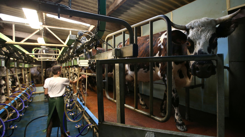 En plein désarroi, les agriculteurs toujours plus nombreux à appeler à l'aide