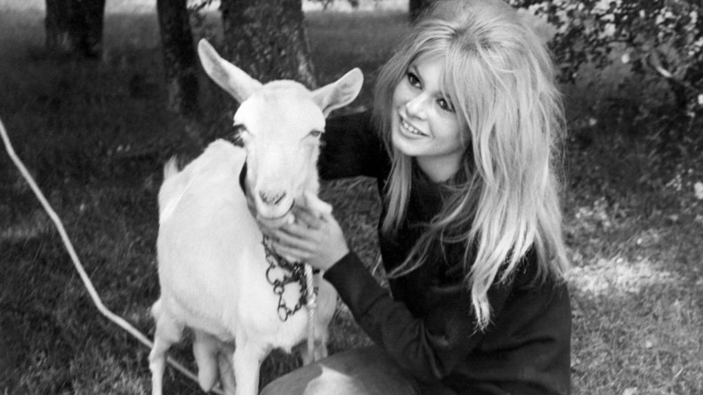 Brigitte Bardot estime que Nicolas Hulot est un «trouillard de première» qui «ne sert à rien»