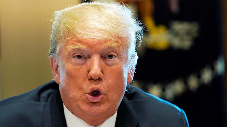 Donald Trump se rendra à Paris pour assister aux commémorations du 11 novembre