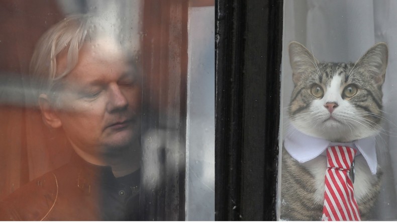 Le chat d'Assange au cœur des nouvelles restrictions imposées à son maître par l'Equateur