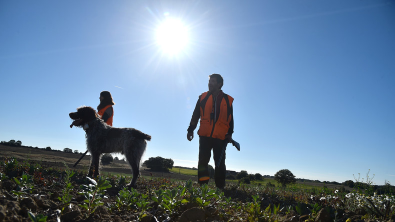 Cycliste tué par un chasseur : la proposition provocatrice d'un député LREM