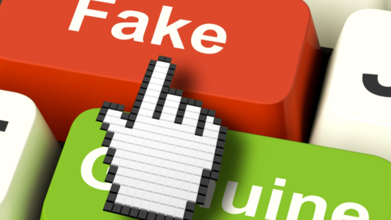 La loi contre la manipulation de l'information, «inapplicable» ?