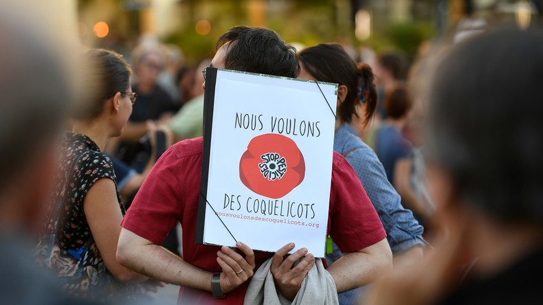 Une infirmière condamnée pour avoir peint des coquelicots sur les marches de la mairie de Reims