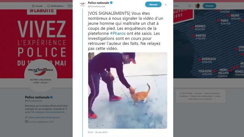 Un Jeune Homme Filmé En Train De Maltraiter Un Chat