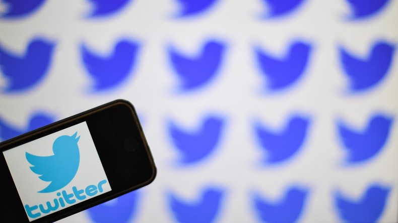 Lassé par la violence de trolls macronistes, un journaliste des «Décodeurs» met Twitter «en pause»