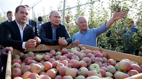 Vladimir Poutine et Dmitri Medvedev visitent une exploitation agricole près de Stavropol, le 9 octobre 2018 (image d'illustration). 