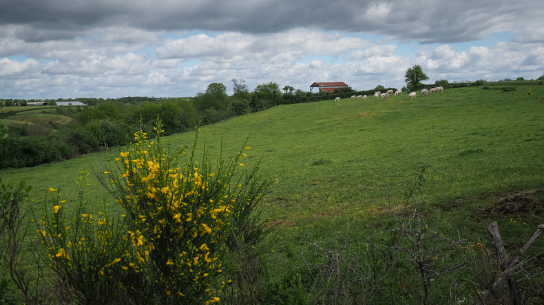 Municipales à «Trifouillis-les-Oies» : LREM opte pour le décalage pour former ses futurs candidats