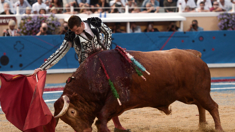 Deux ministres choquent les associations animalistes en assistant à une corrida