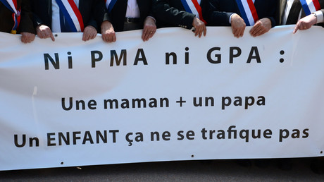 Manifestation contre la PMA en mai 2013 (image d'illustration).