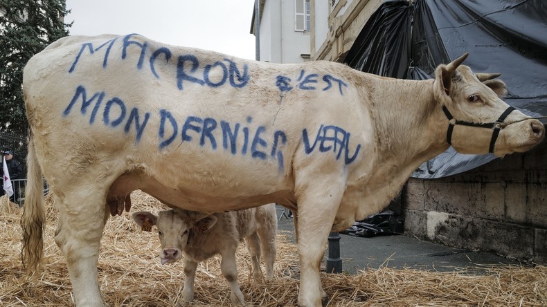 Sur la piste de l’#agribashing, point Godwin d'un modèle d'agriculture à bout de souffle