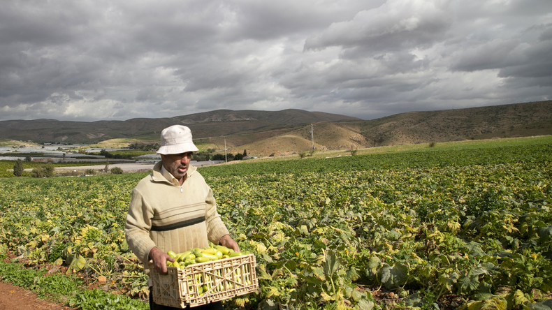 Israël bloque les exportations agricoles palestiniennes en représailles au boycott de ses produits