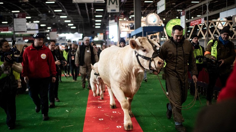 Les vegans ont-ils eu la peau des éleveurs ?
