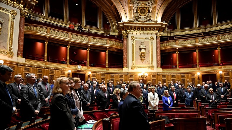 «C'est nul, tout simplement» : un sénateur quitte LREM après le recours au 49.3