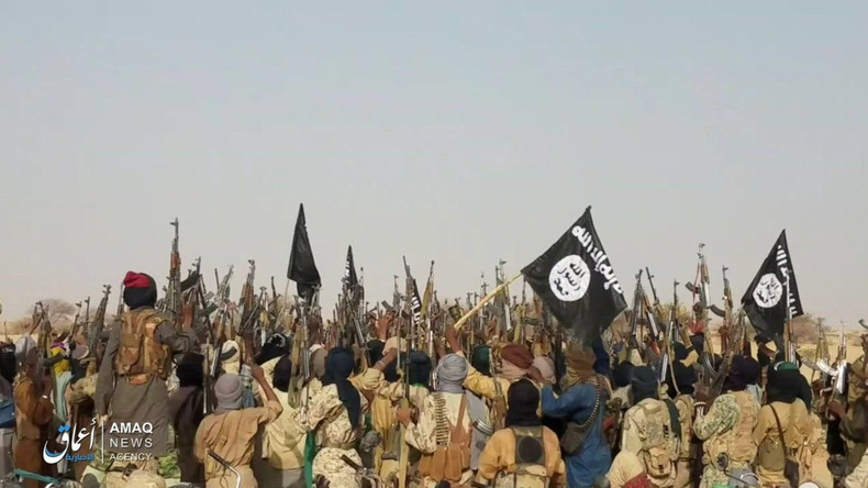 BARKHANE : STOP OU ENCORE ? Qui sont les djihadistes du Sahel que combat la France ?