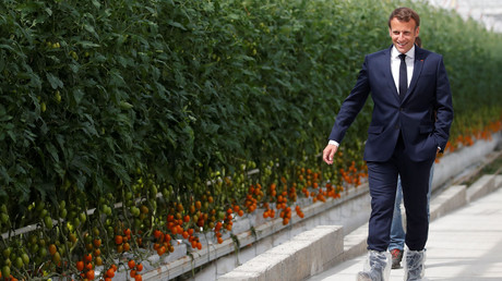 Georges Kuzmanovic : «Le principal obstacle à l’indépendance agricole française, c’est M. Macron»