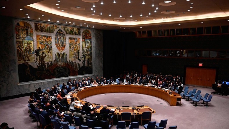 Syrie : résolution du Conseil de sécurité de l'ONU sur le mécanisme d'aide transfrontalier