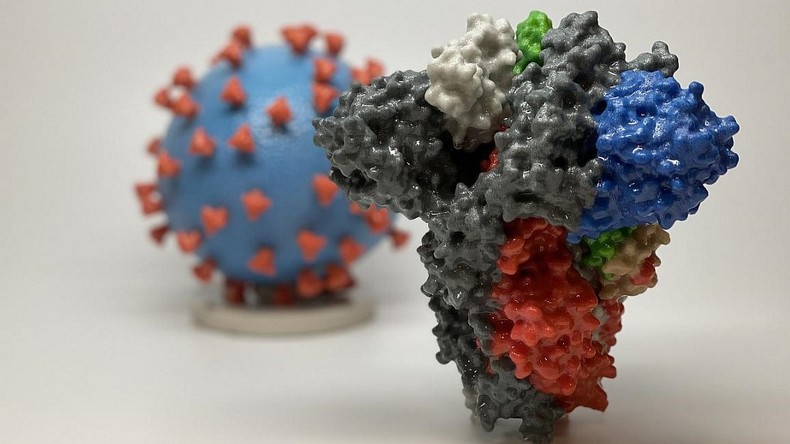 Attaqué sur Twitter sur une prétendue négation des mutations du Covid-19, Hirsch réplique